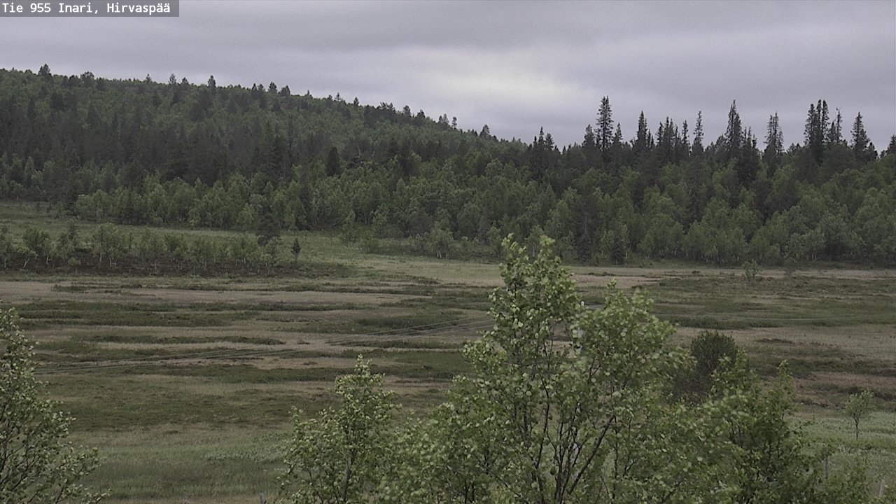 Weather Camera Image Väg 955 Enare, Hirvaspää, Inari, Lappi