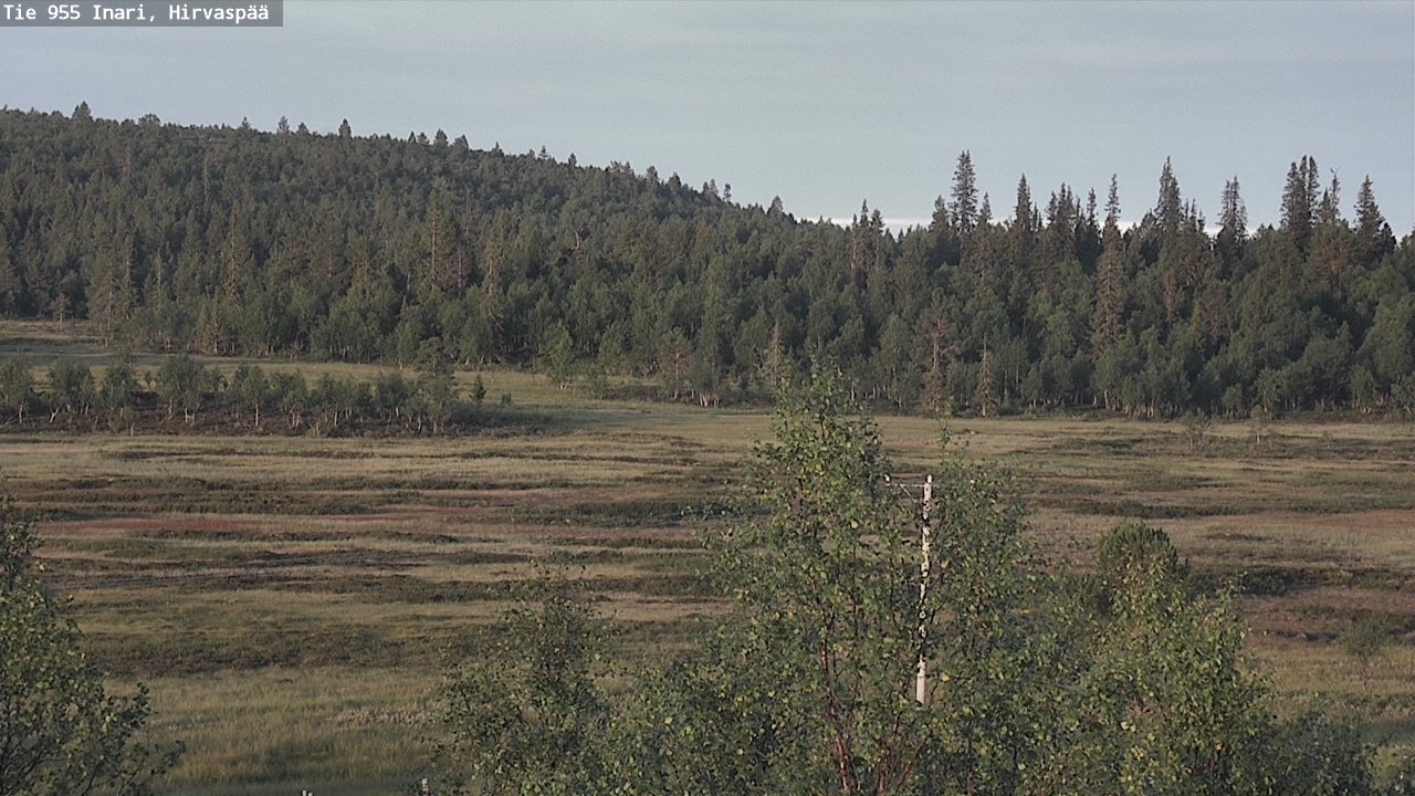 Kelikamerat Kuva Tie 955 Inari, Hirvaspää, Inari, Lappi