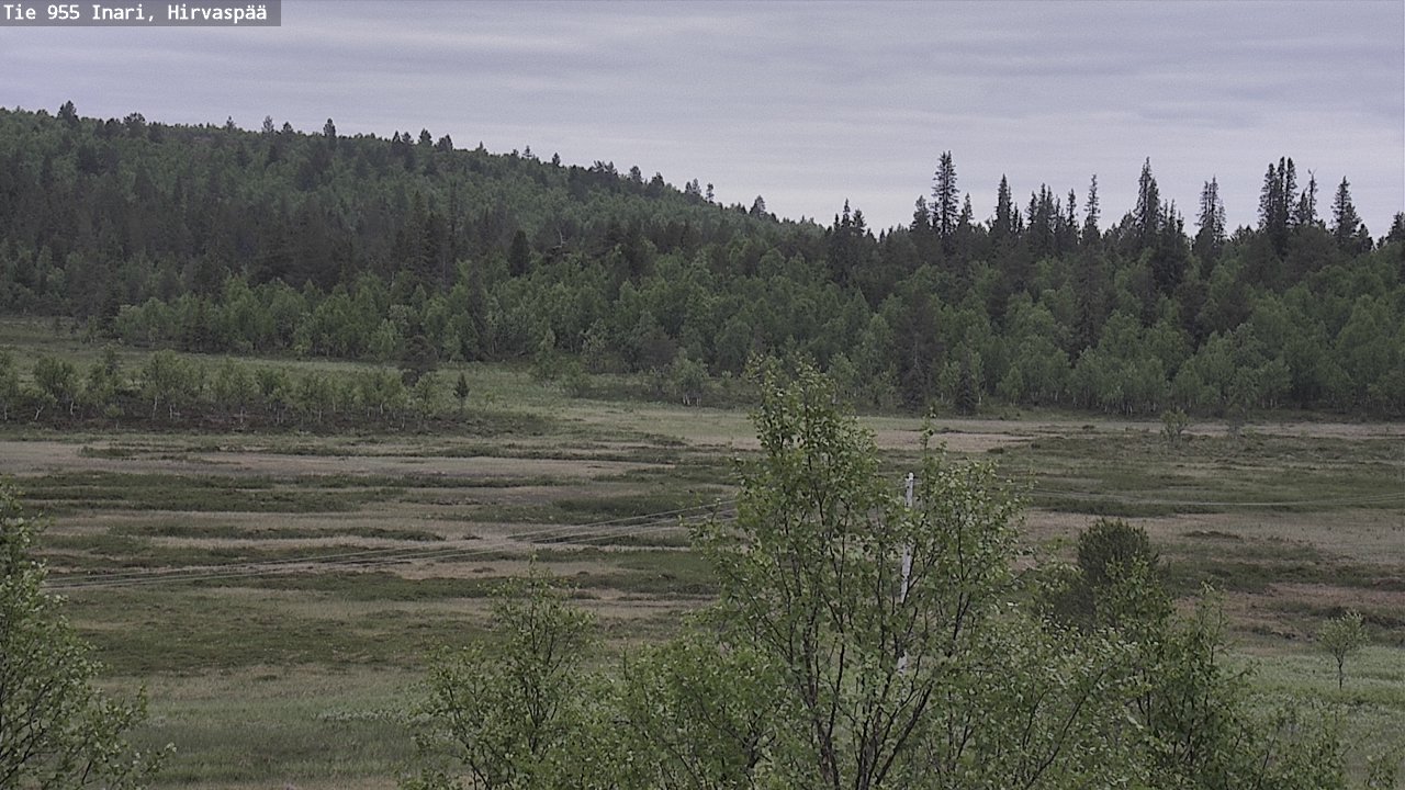 Kelikamerat Kuva Tie 955 Inari, Hirvaspää, Inari, Lappi