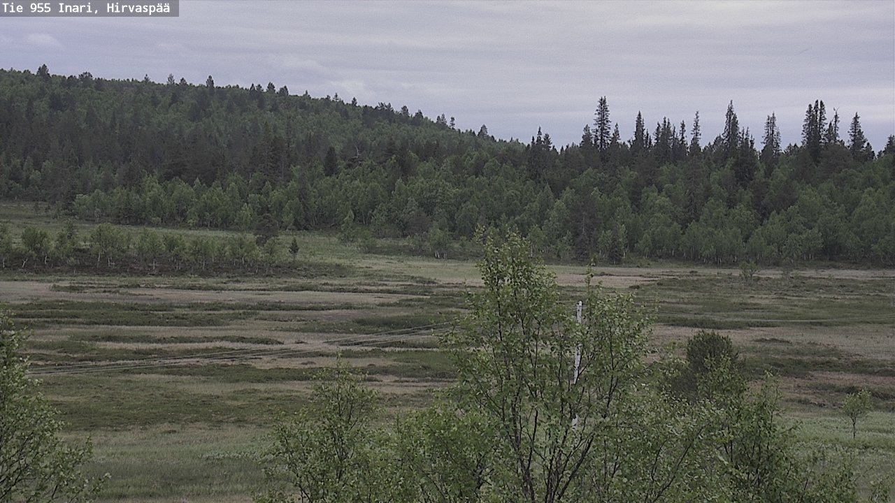 Kelikamerat Kuva Tie 955 Inari, Hirvaspää, Inari, Lappi