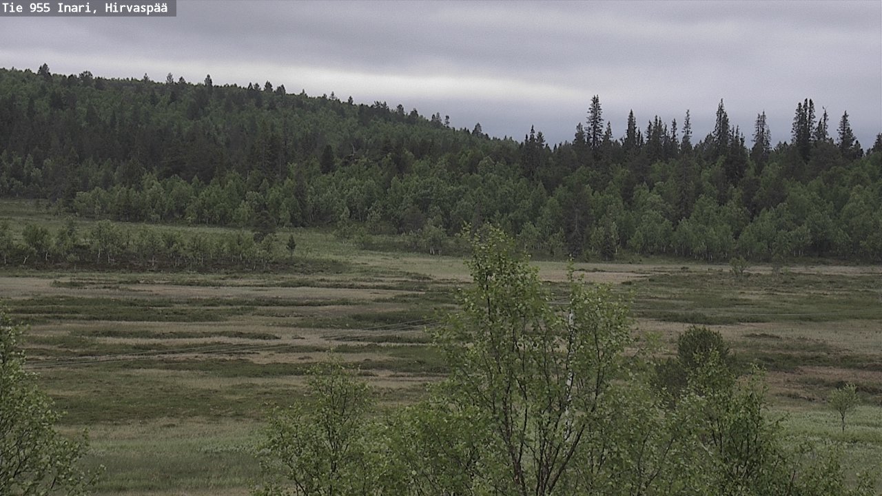 Kelikamerat Kuva Tie 955 Inari, Hirvaspää, Inari, Lappi