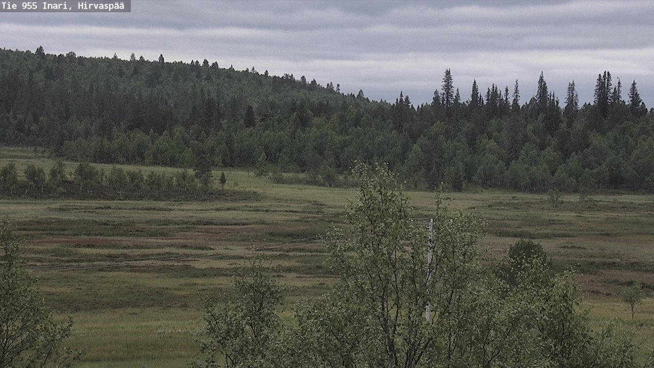 Kelikamerat Kuva Tie 955 Inari, Hirvaspää, Inari, Lappi