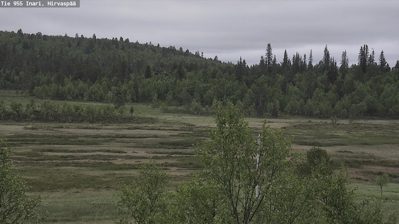 Kelikamerat Kuva Tie 955 Inari, Hirvaspää, Inari, Lappi