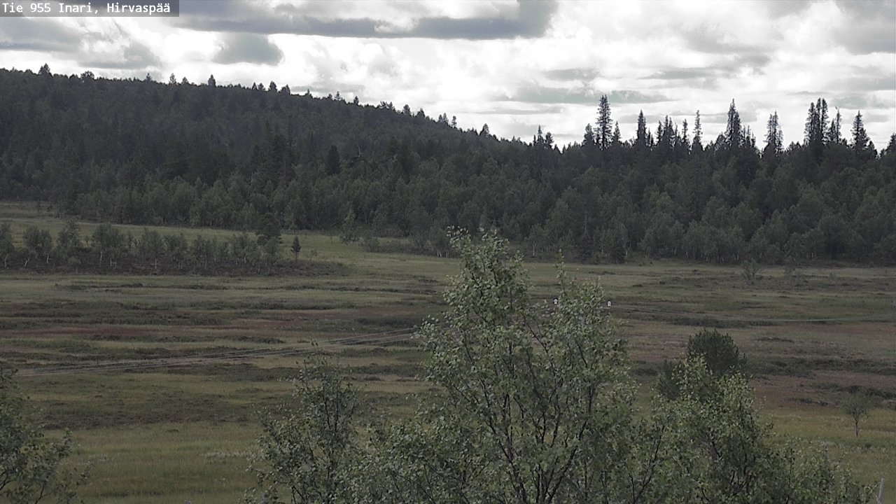 Weather Camera Image Road 955 Inari, Hirvaspää, Inari, Lappi