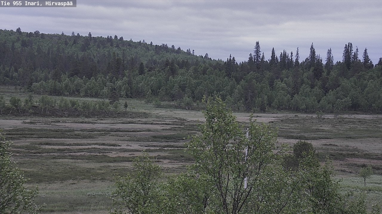 Kelikamerat Kuva Tie 955 Inari, Hirvaspää, Inari, Lappi