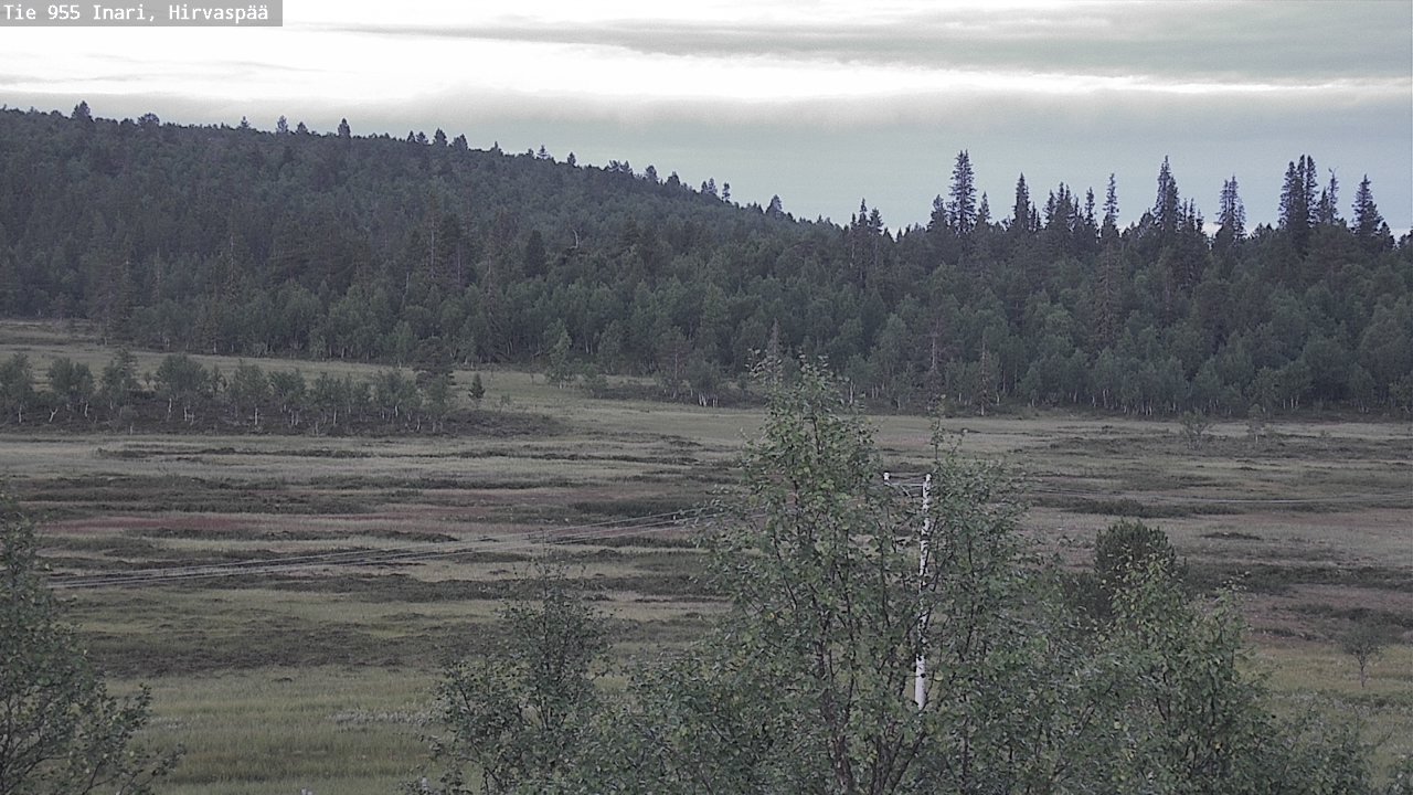 Kelikamerat Kuva Tie 955 Inari, Hirvaspää, Inari, Lappi