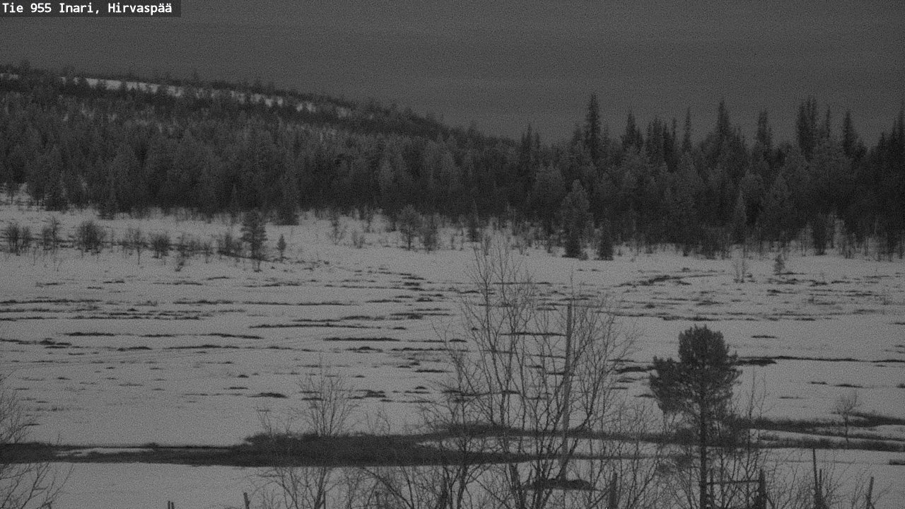 Weather Camera Image Road 955 Inari, Hirvaspää, Inari, Lappi