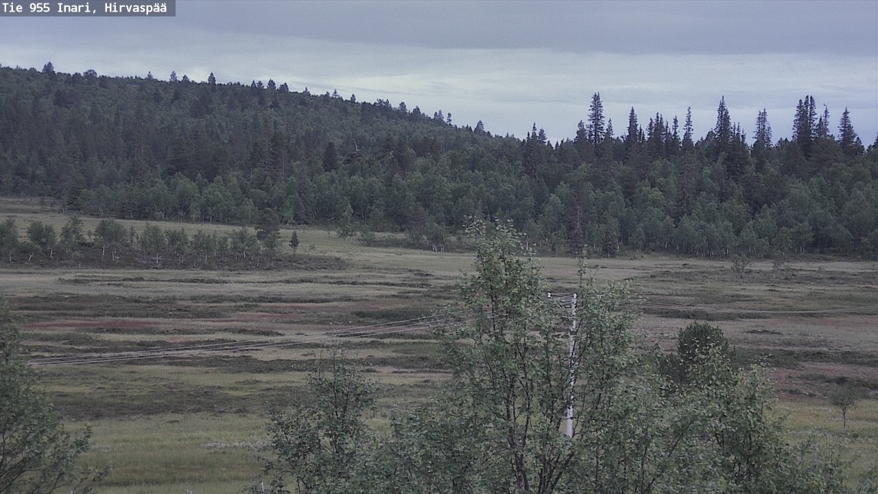 Kelikamerat Kuva Tie 955 Inari, Hirvaspää, Inari, Lappi