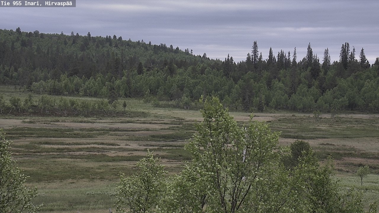 Kelikamerat Kuva Tie 955 Inari, Hirvaspää, Inari, Lappi