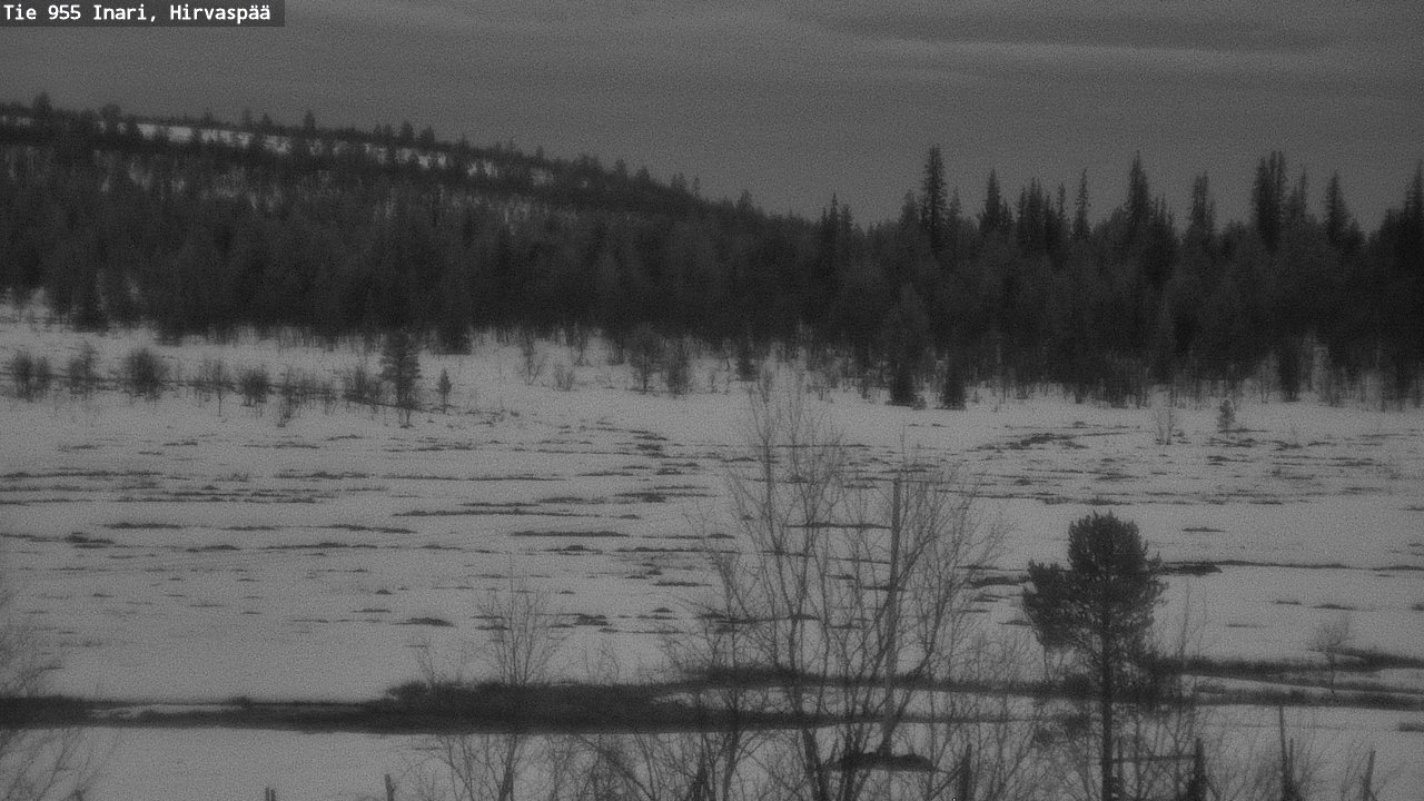 Weather Camera Image Road 955 Inari, Hirvaspää, Inari, Lappi