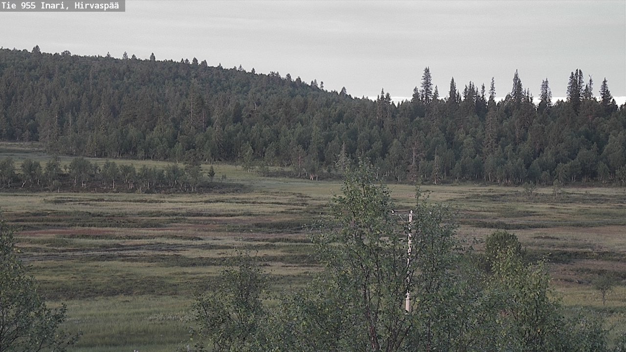 Weather Camera Image Väg 955 Enare, Hirvaspää, Inari, Lappi