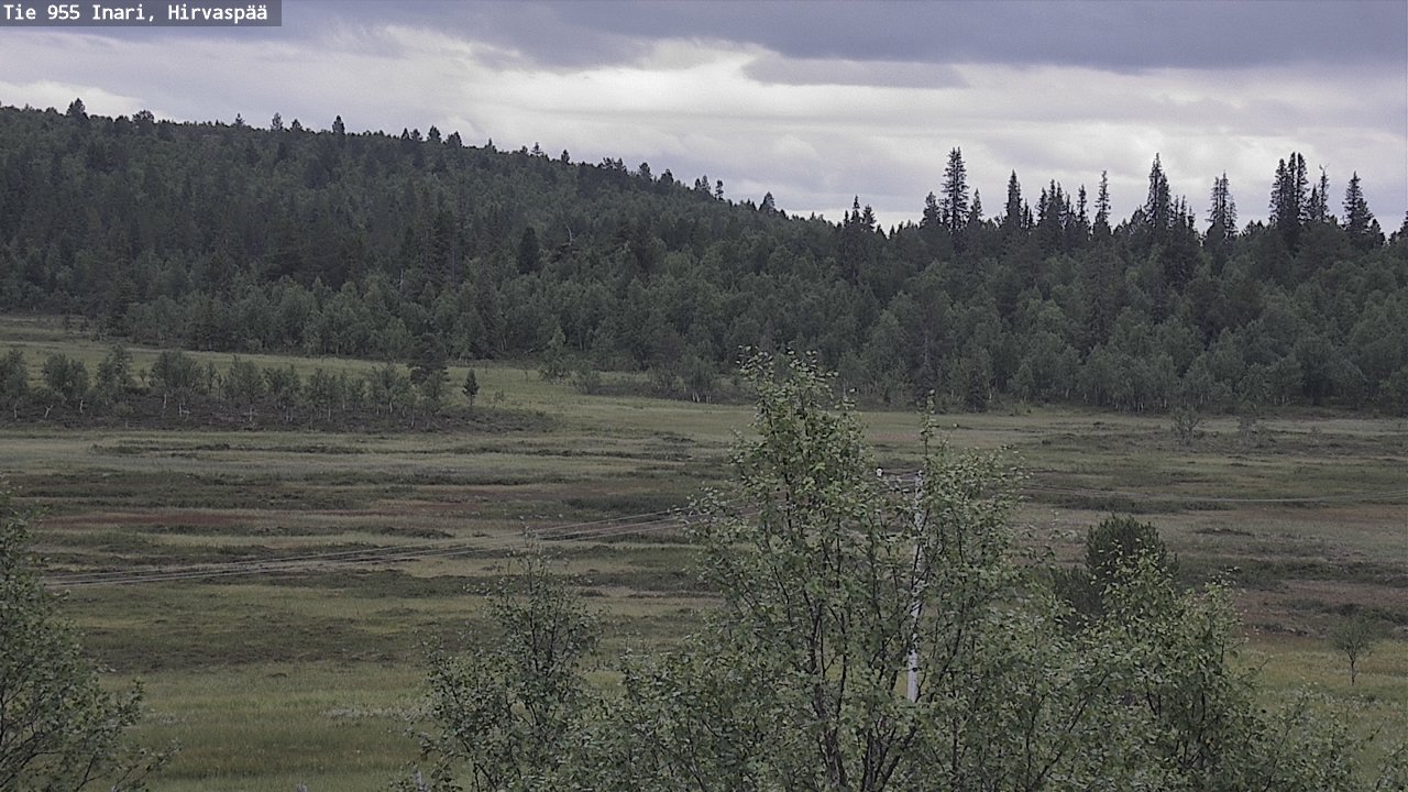 Kelikamerat Kuva Tie 955 Inari, Hirvaspää, Inari, Lappi