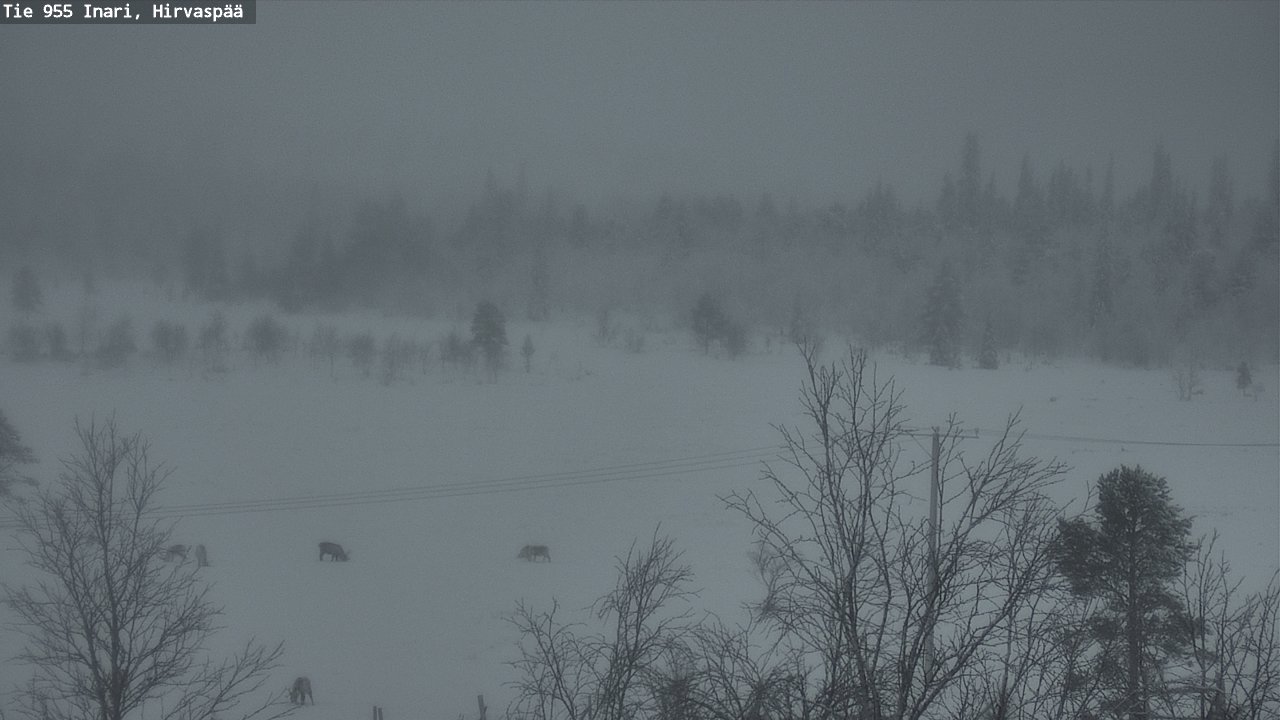 Kelikamerat Kuva Tie 955 Inari, Hirvaspää, Inari, Lappi