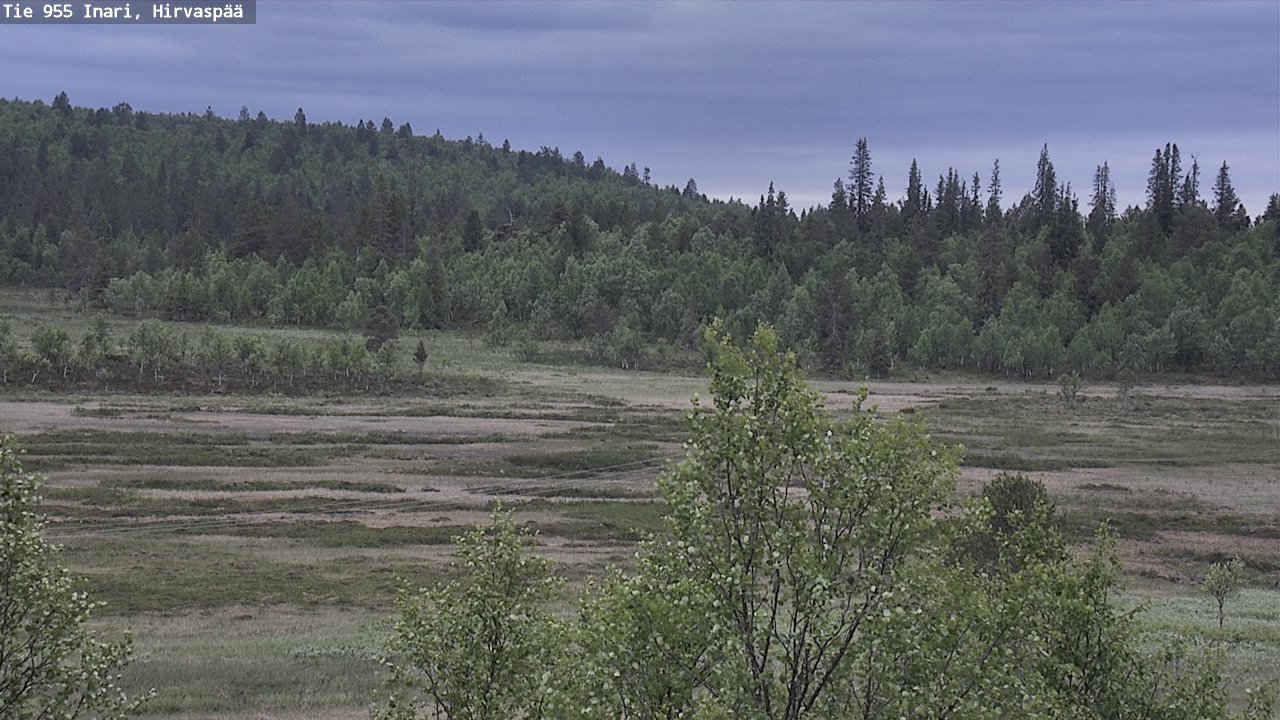 Kelikamerat Kuva Tie 955 Inari, Hirvaspää, Inari, Lappi