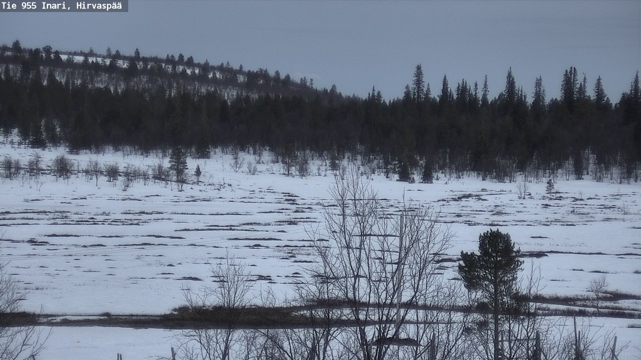 Kelikamerat Kuva Tie 955 Inari, Hirvaspää, Inari, Lappi