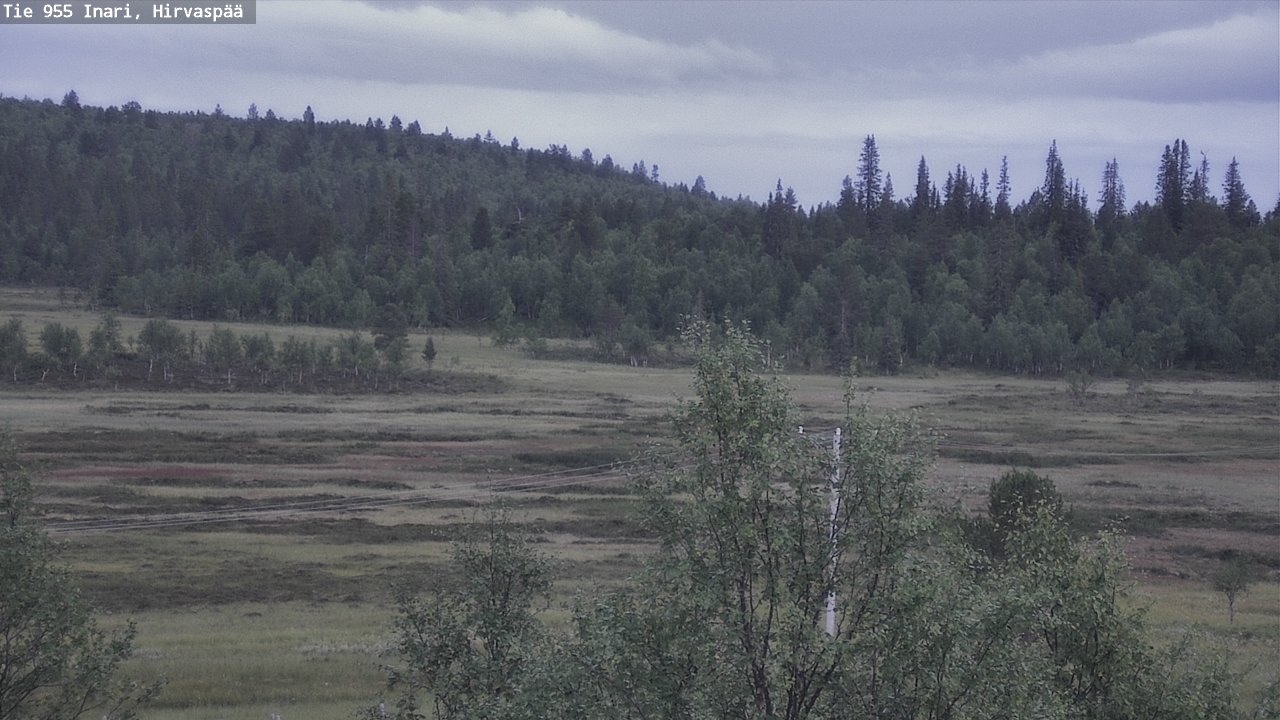 Kelikamerat Kuva Tie 955 Inari, Hirvaspää, Inari, Lappi