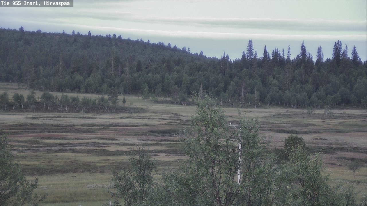 Kelikamerat Kuva Tie 955 Inari, Hirvaspää, Inari, Lappi