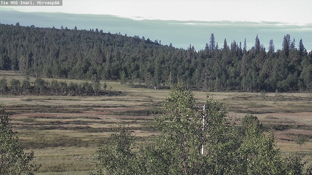 Weather Camera Image Väg 955 Enare, Hirvaspää, Inari, Lappi