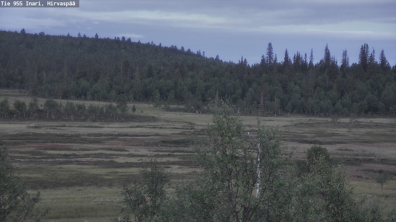 Kelikamerat Kuva Tie 955 Inari, Hirvaspää, Inari, Lappi