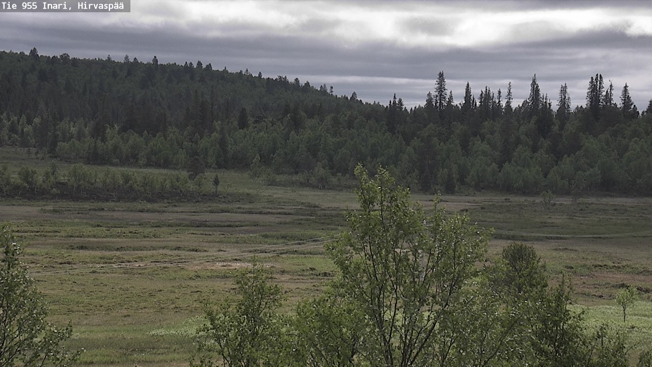 Kelikamerat Kuva Tie 955 Inari, Hirvaspää, Inari, Lappi