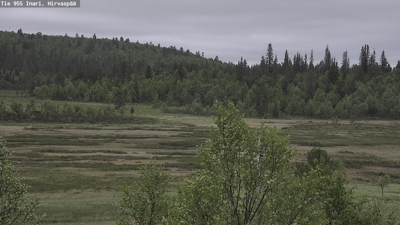 Weather Camera Image Road 955 Inari, Hirvaspää, Inari, Lappi