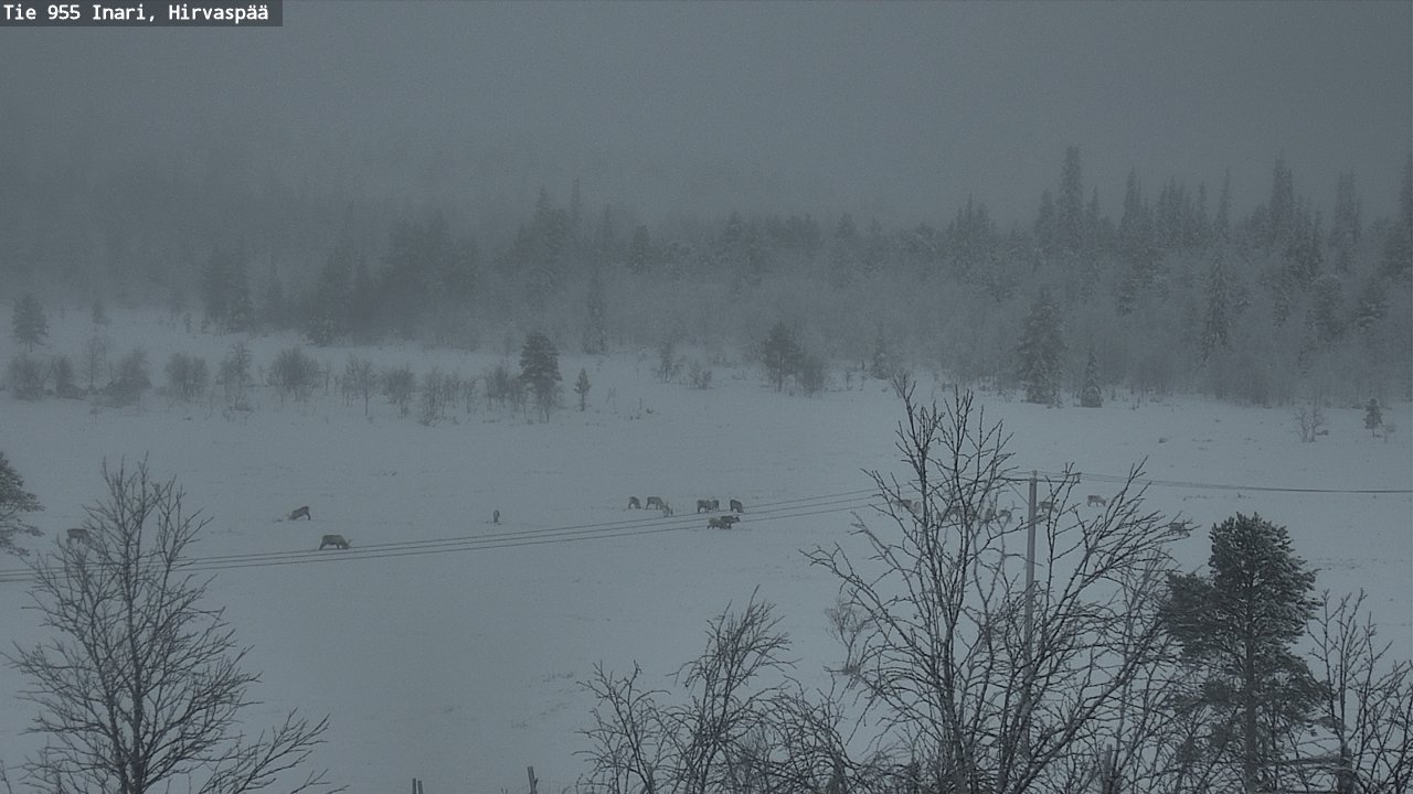 Kelikamerat Kuva Tie 955 Inari, Hirvaspää, Inari, Lappi