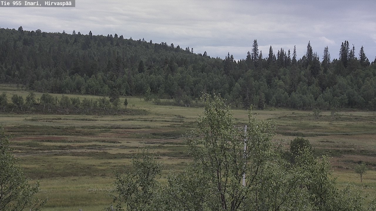 Kelikamerat Kuva Tie 955 Inari, Hirvaspää, Inari, Lappi