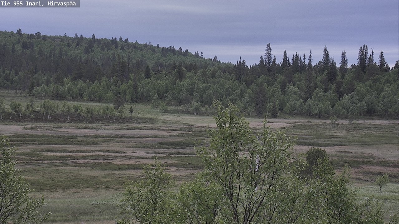 Kelikamerat Kuva Tie 955 Inari, Hirvaspää, Inari, Lappi