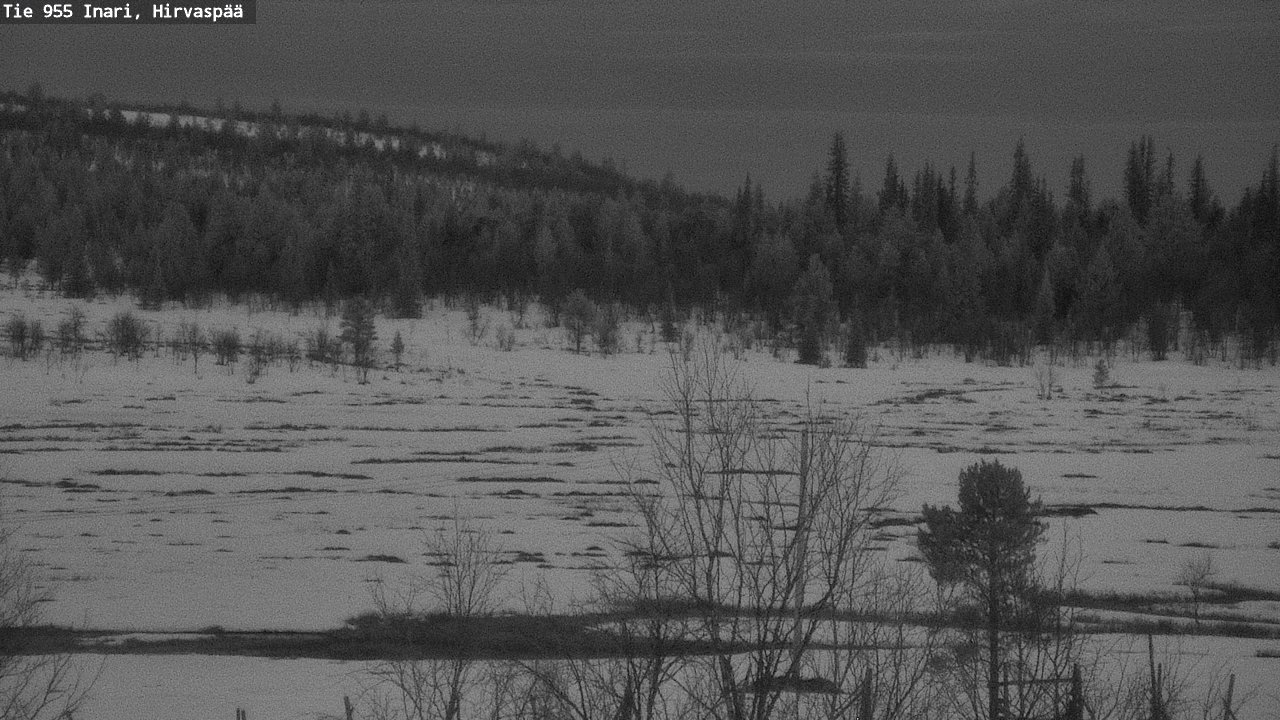 Weather Camera Image Road 955 Inari, Hirvaspää, Inari, Lappi