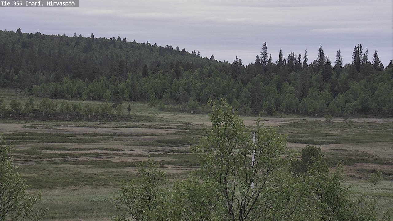 Kelikamerat Kuva Tie 955 Inari, Hirvaspää, Inari, Lappi