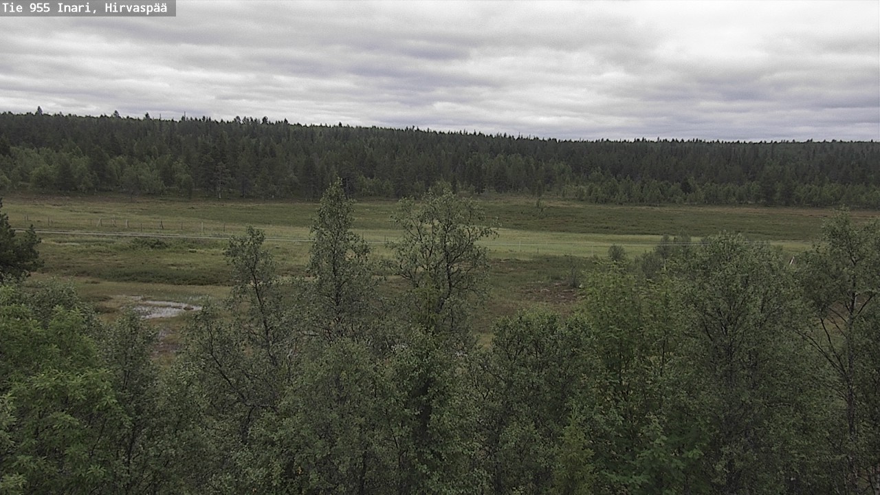 Kelikamerat Kuva Tie 955 Inari, Hirvaspää, Inari, Lappi