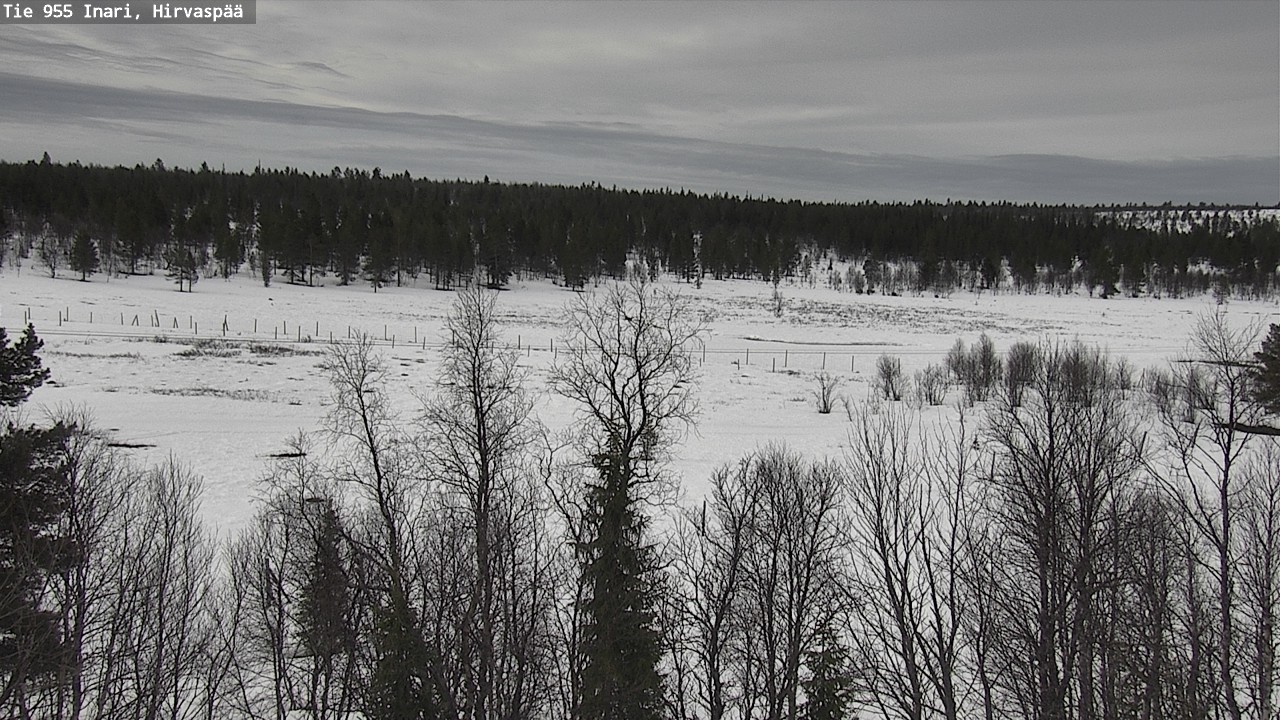 Weather Camera Image Väg 955 Enare, Hirvaspää, Inari, Lappi