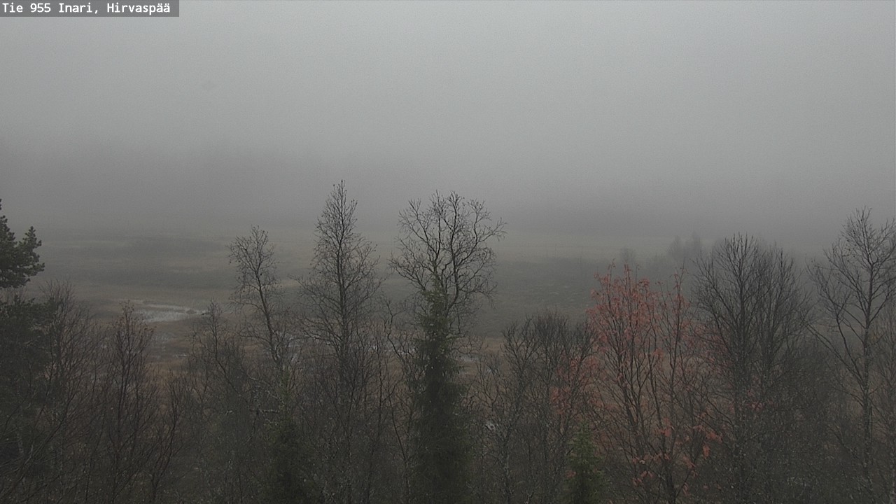 Weather Camera Image Road 955 Inari, Hirvaspää, Inari, Lappi