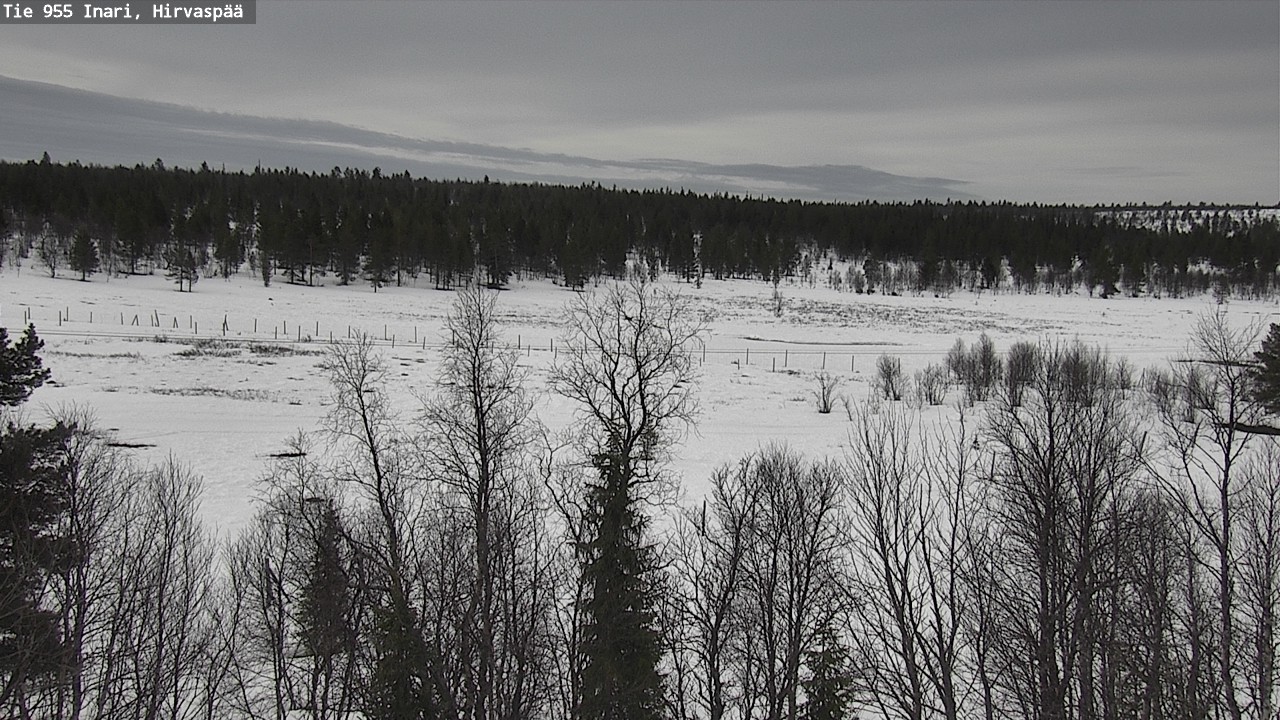 Weather Camera Image Väg 955 Enare, Hirvaspää, Inari, Lappi
