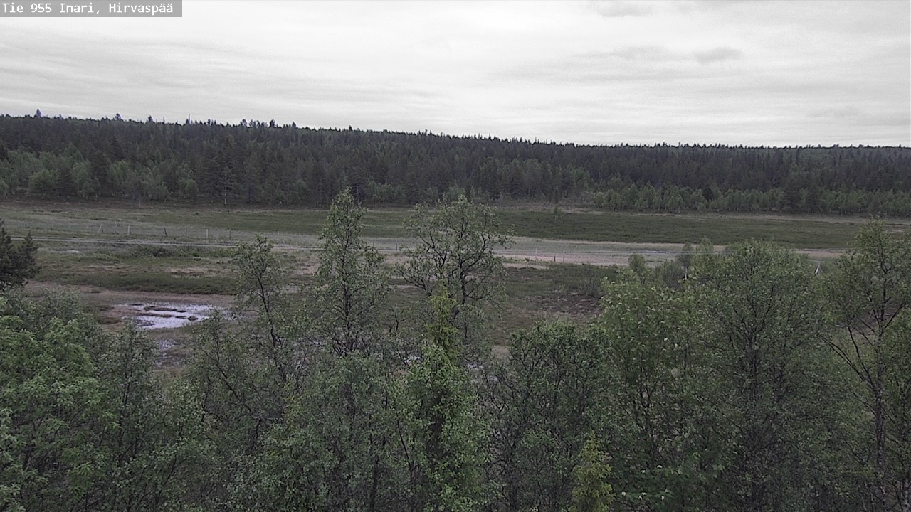 Kelikamerat Kuva Tie 955 Inari, Hirvaspää, Inari, Lappi
