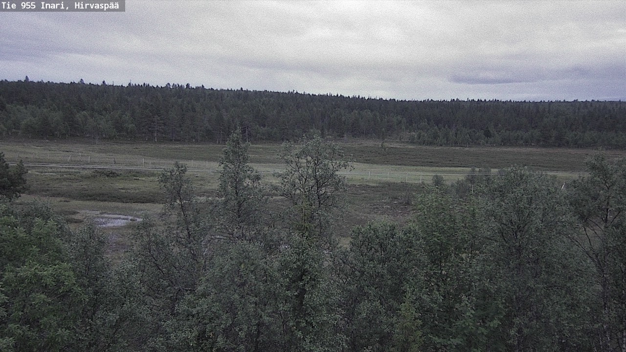 Kelikamerat Kuva Tie 955 Inari, Hirvaspää, Inari, Lappi