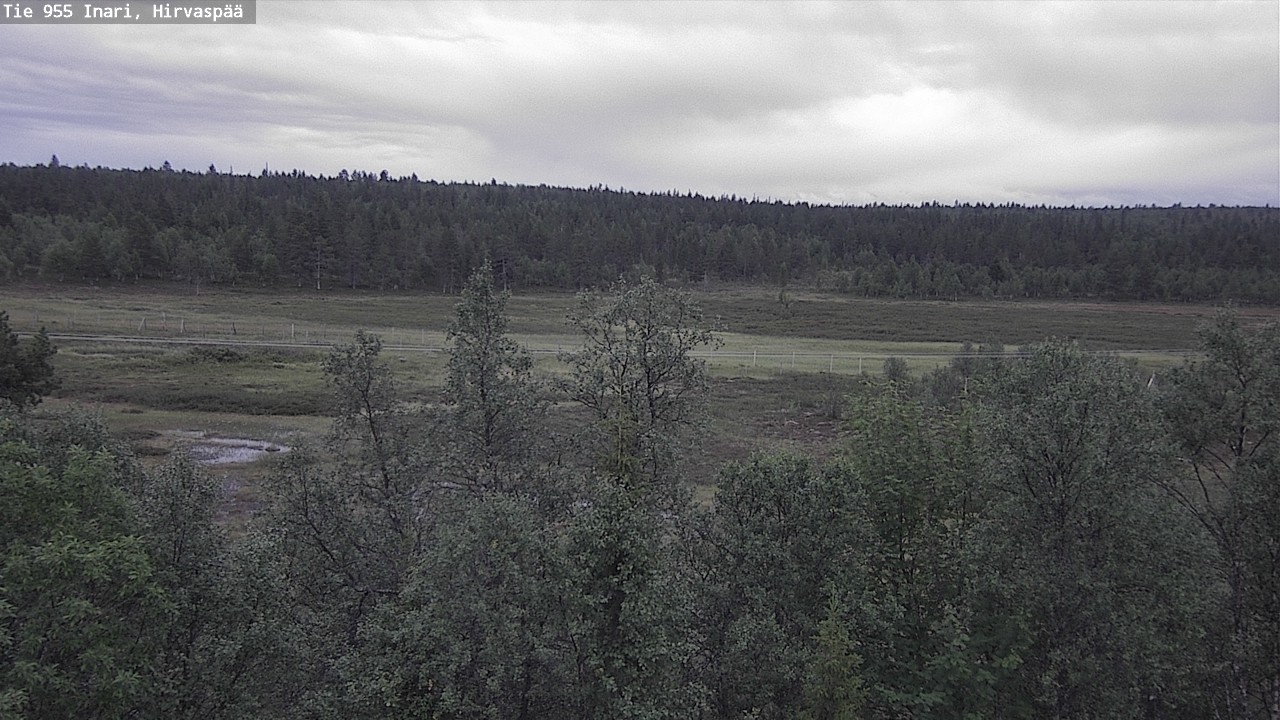Kelikamerat Kuva Tie 955 Inari, Hirvaspää, Inari, Lappi