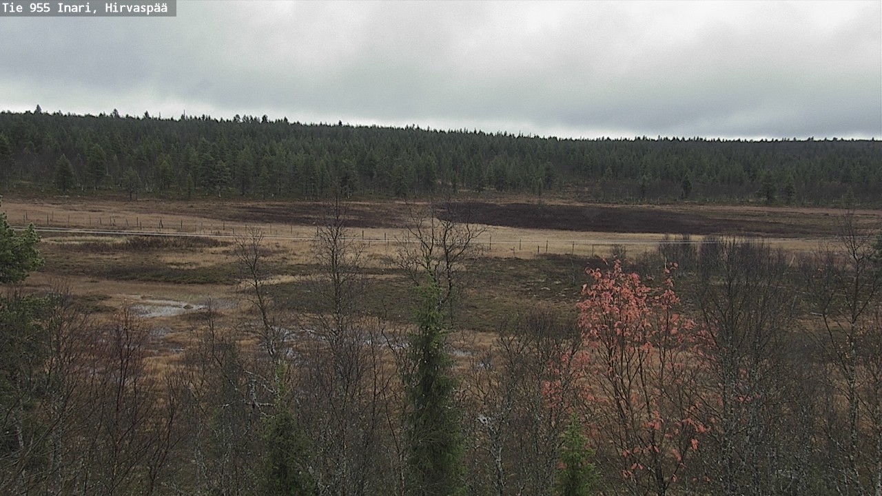 Weather Camera Image Road 955 Inari, Hirvaspää, Inari, Lappi