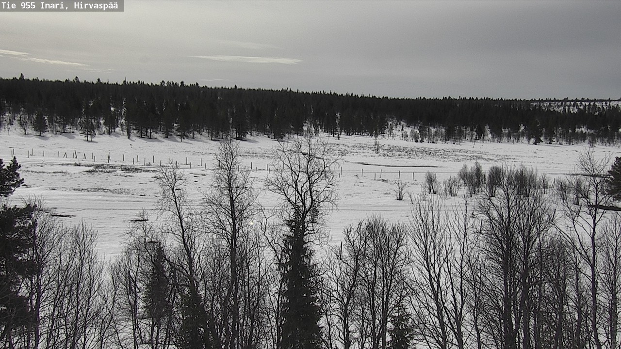 Weather Camera Image Väg 955 Enare, Hirvaspää, Inari, Lappi
