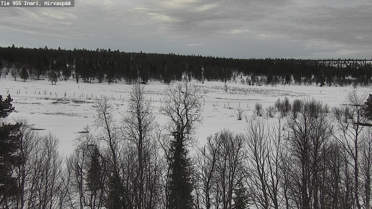 Weather Camera Image Väg 955 Enare, Hirvaspää, Inari, Lappi