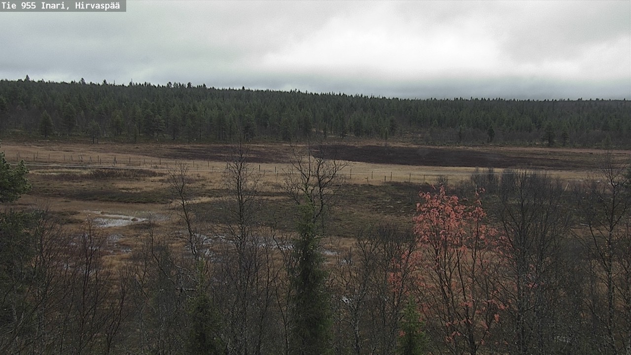 Weather Camera Image Road 955 Inari, Hirvaspää, Inari, Lappi