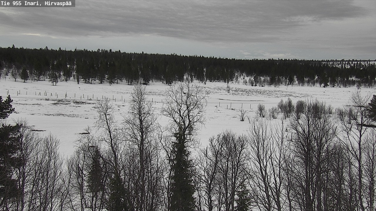 Weather Camera Image Väg 955 Enare, Hirvaspää, Inari, Lappi