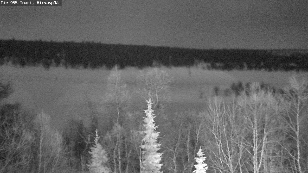 Kelikamerat Kuva Tie 955 Inari, Hirvaspää, Inari, Lappi