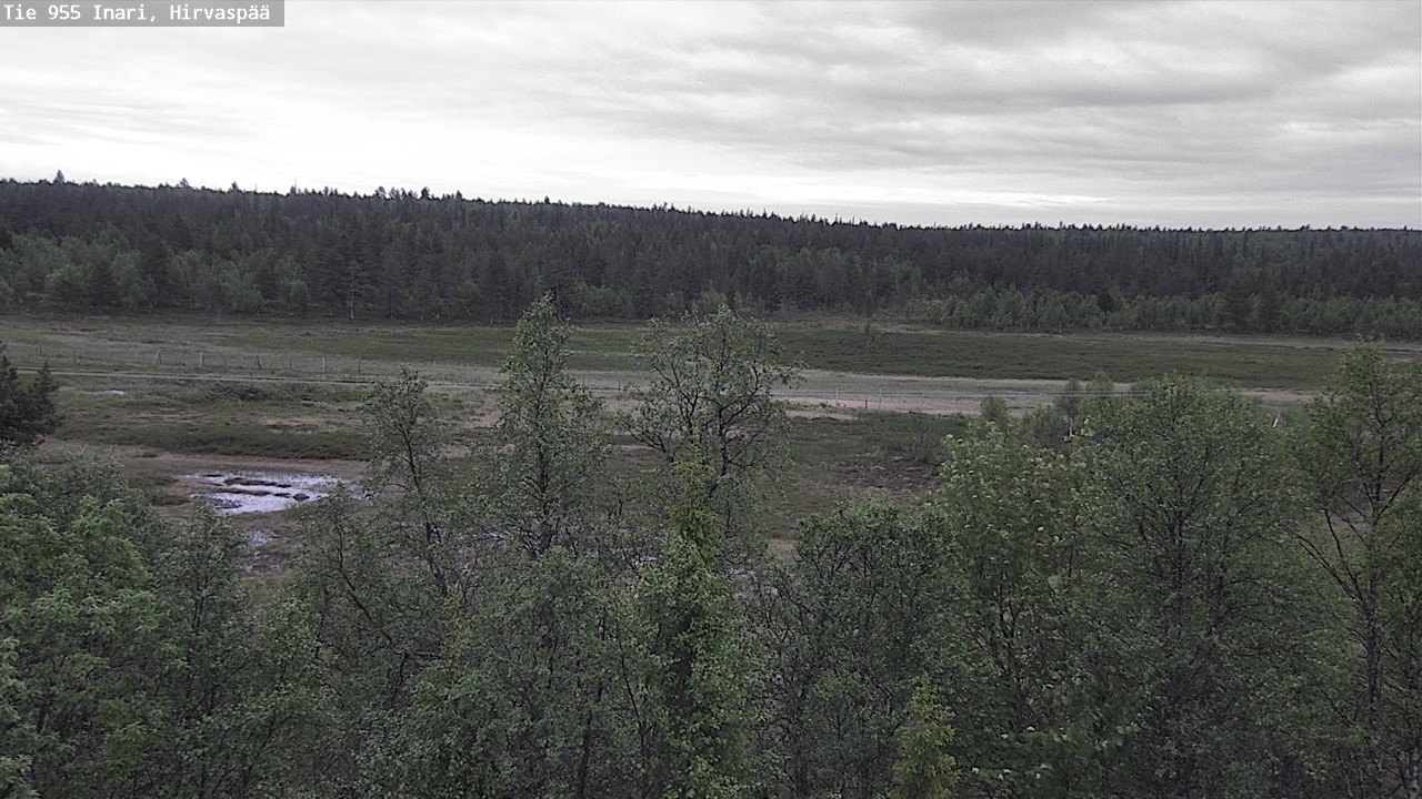 Kelikamerat Kuva Tie 955 Inari, Hirvaspää, Inari, Lappi