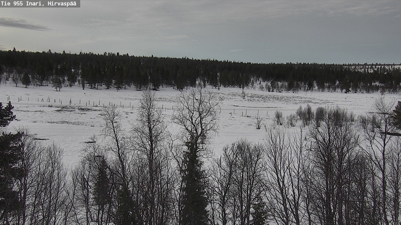 Weather Camera Image Väg 955 Enare, Hirvaspää, Inari, Lappi