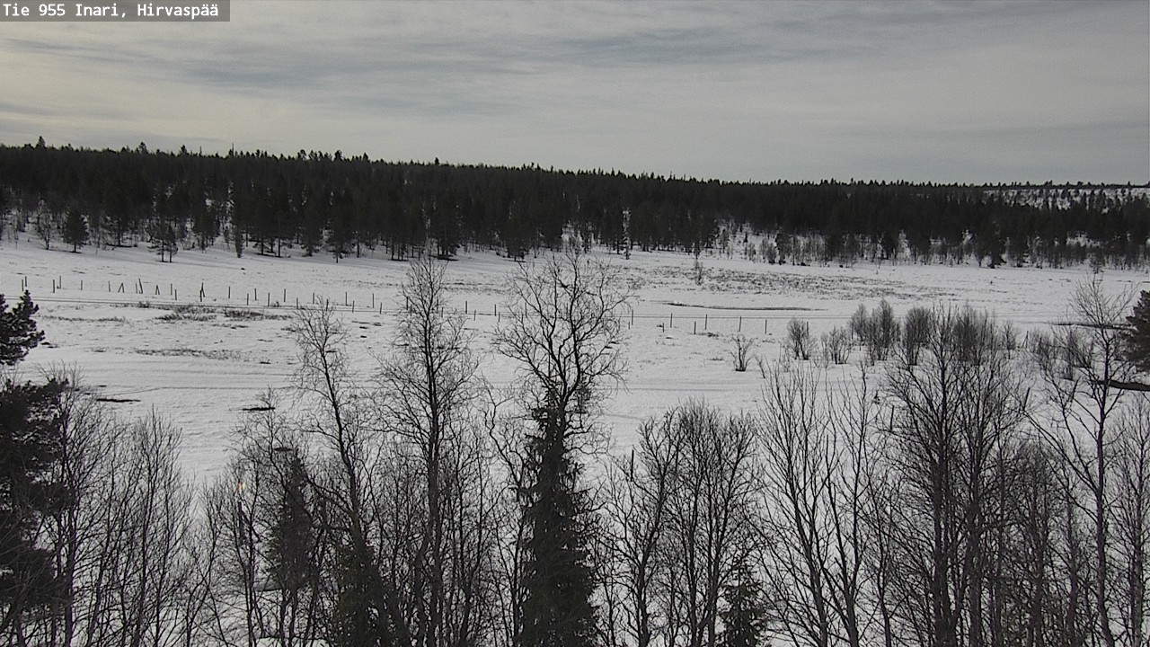 Weather Camera Image Väg 955 Enare, Hirvaspää, Inari, Lappi