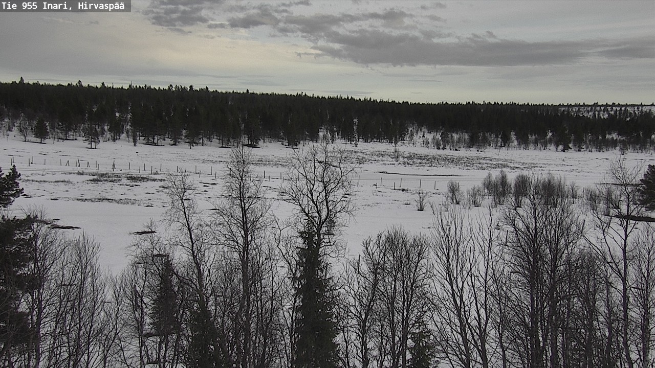 Weather Camera Image Väg 955 Enare, Hirvaspää, Inari, Lappi