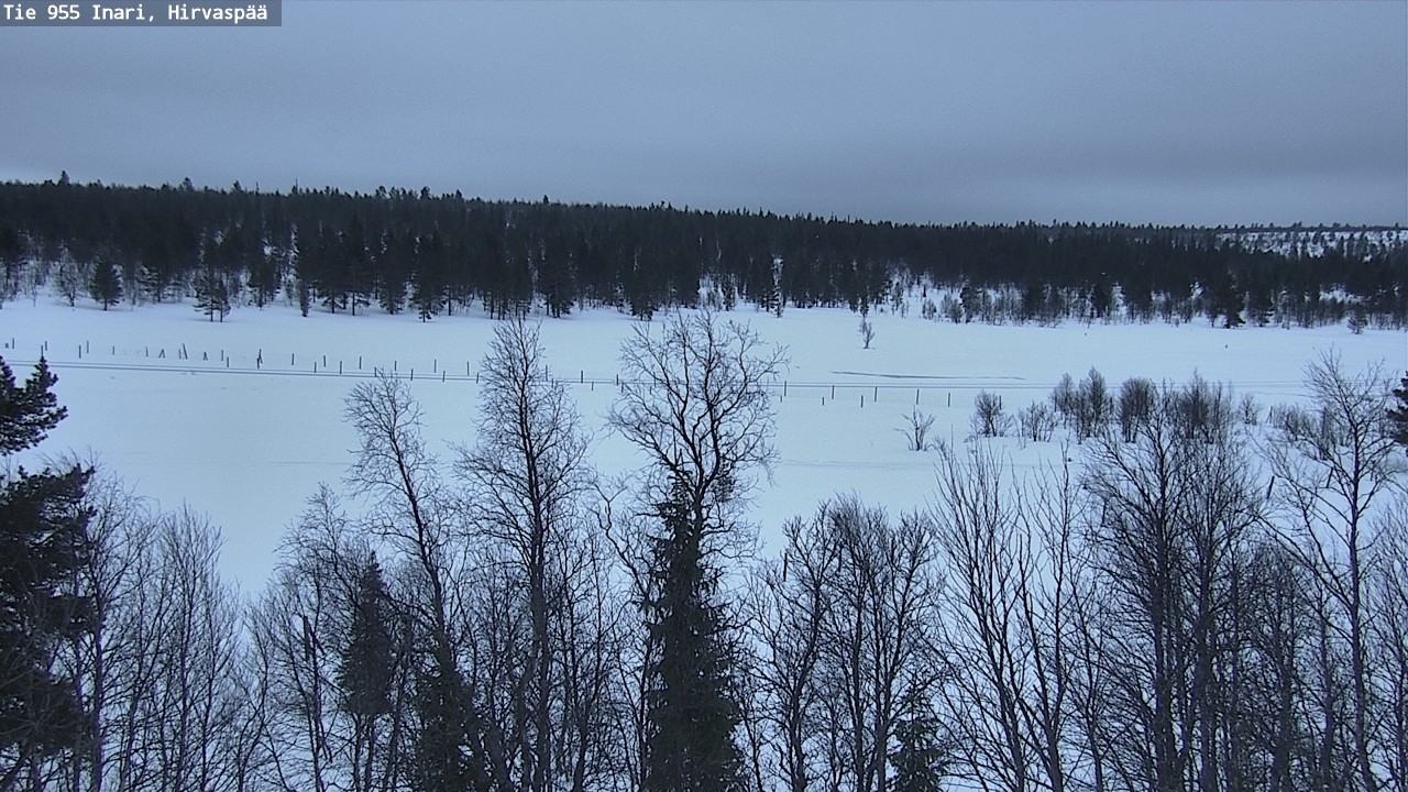 Kelikamerat Kuva Tie 955 Inari, Hirvaspää, Inari, Lappi