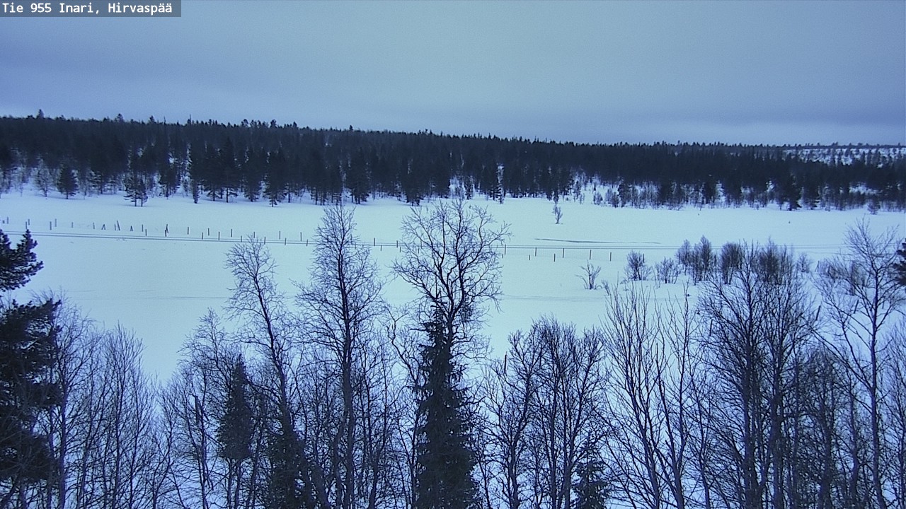 Kelikamerat Kuva Tie 955 Inari, Hirvaspää, Inari, Lappi