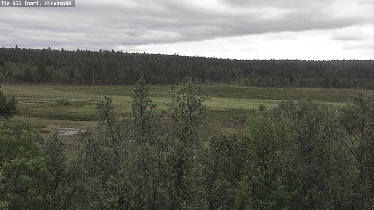 Kelikamerat Kuva Tie 955 Inari, Hirvaspää, Inari, Lappi